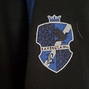 Harry Potter Racenclaw house cardigan